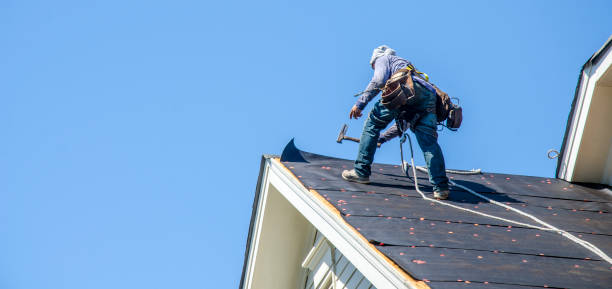 Best Roof Gutter Cleaning  in Fairview Park, IN